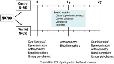 The Walnuts and Healthy Aging Study (WAHA): Protocol for a Nutritional Intervention Trial with Walnuts on Brain Aging